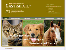 Tablet Screenshot of gastrafate.com